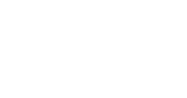 logo-2